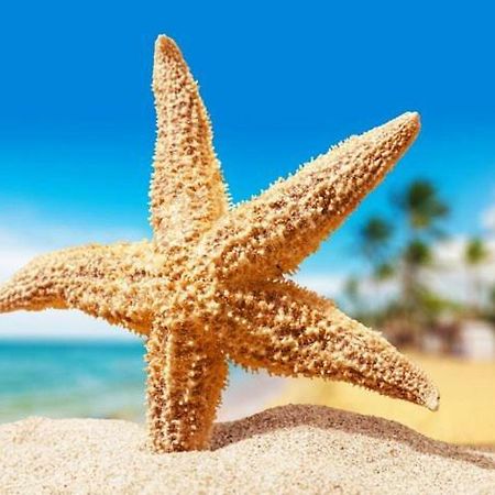 Sea Star Apartments Одесса Экстерьер фото