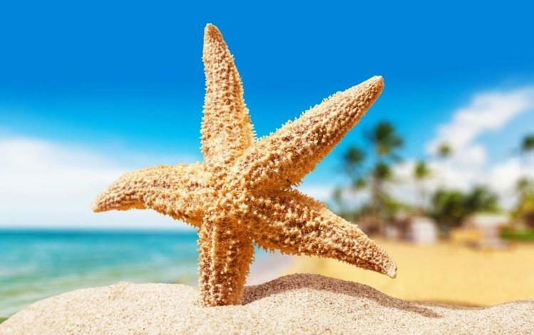 Sea Star Apartments Одесса Экстерьер фото